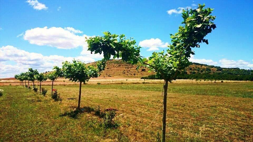 Las Mairas Fuente Encalada Exterior foto